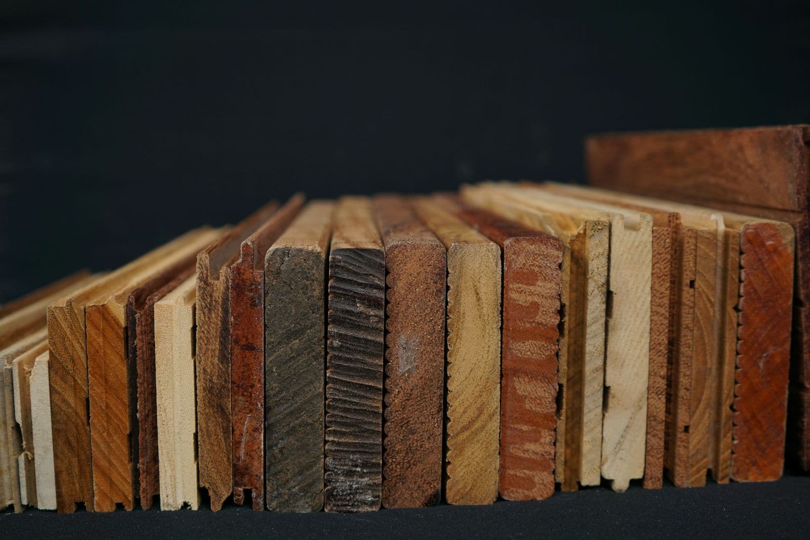 Échantillons de bois de différentes essences et finitions